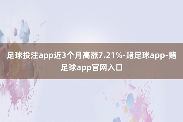 足球投注app近3个月高涨7.21%-赌足球app-赌足球app官网入口