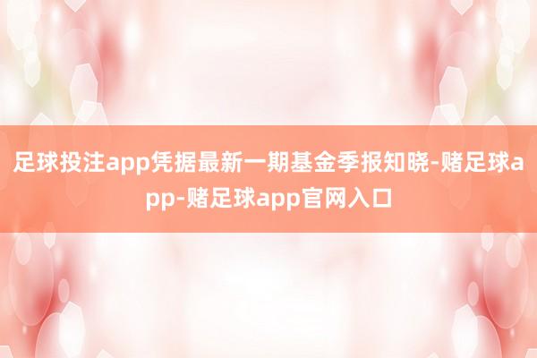 足球投注app凭据最新一期基金季报知晓-赌足球app-赌足球app官网入口