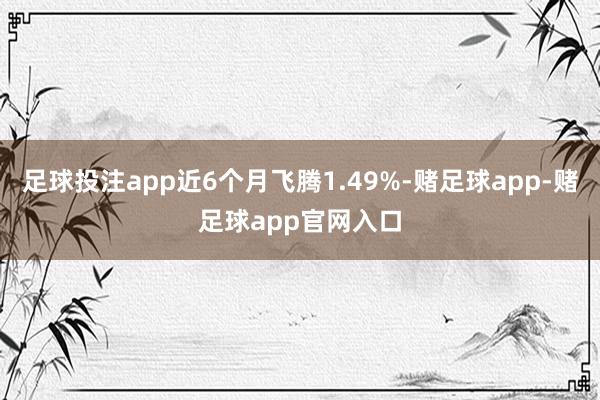 足球投注app近6个月飞腾1.49%-赌足球app-赌足球app官网入口