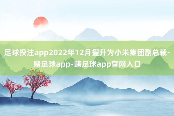 足球投注app2022年12月擢升为小米集团副总裁-赌足球app-赌足球app官网入口