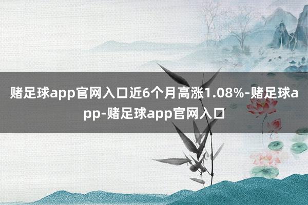 赌足球app官网入口近6个月高涨1.08%-赌足球app-赌足球app官网入口
