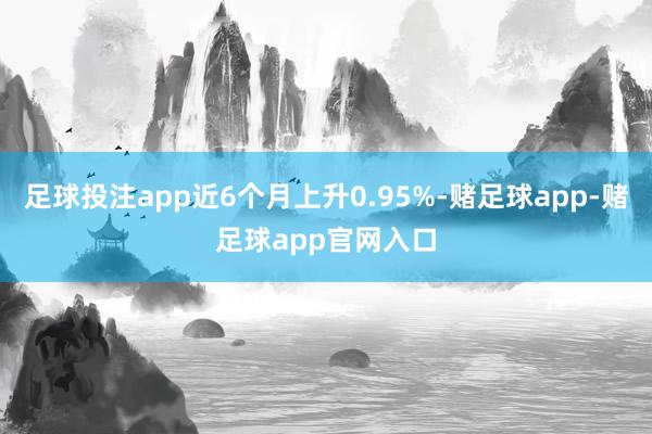 足球投注app近6个月上升0.95%-赌足球app-赌足球app官网入口