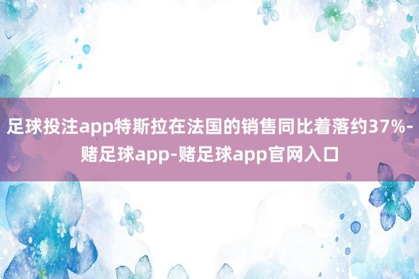足球投注app特斯拉在法国的销售同比着落约37%-赌足球app-赌足球app官网入口