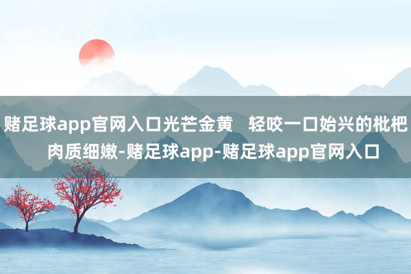赌足球app官网入口光芒金黄   轻咬一口始兴的枇杷   肉质细嫩-赌足球app-赌足球app官网入口