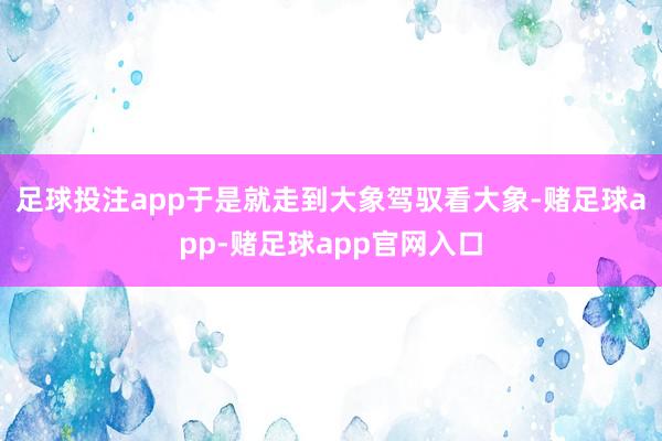 足球投注app于是就走到大象驾驭看大象-赌足球app-赌足球app官网入口