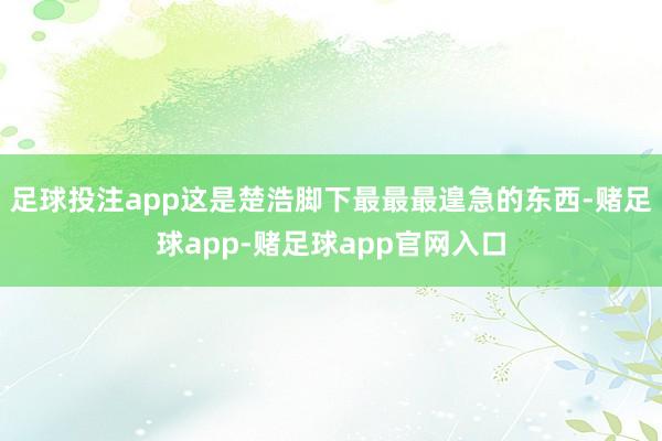 足球投注app这是楚浩脚下最最最遑急的东西-赌足球app-赌足球app官网入口