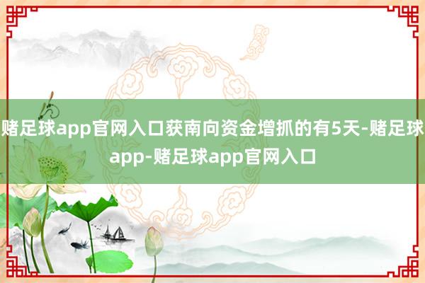 赌足球app官网入口获南向资金增抓的有5天-赌足球app-赌足球app官网入口