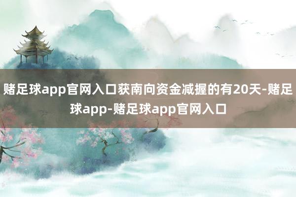 赌足球app官网入口获南向资金减握的有20天-赌足球app-赌足球app官网入口