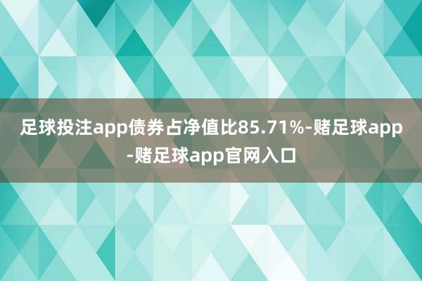 足球投注app债券占净值比85.71%-赌足球app-赌足球app官网入口