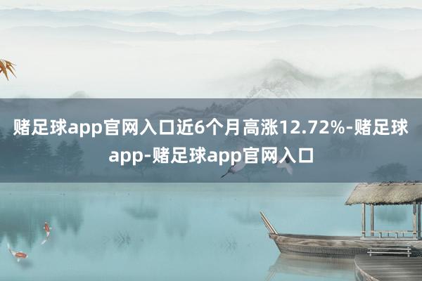 赌足球app官网入口近6个月高涨12.72%-赌足球app-赌足球app官网入口