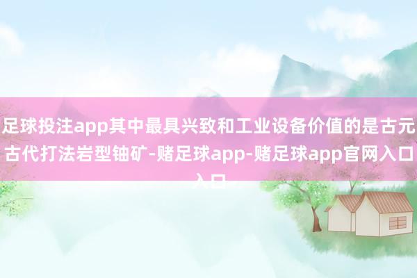足球投注app其中最具兴致和工业设备价值的是古元古代打法岩型铀矿-赌足球app-赌足球app官网入口