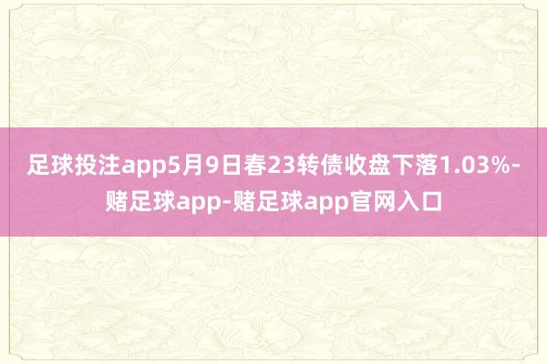 足球投注app5月9日春23转债收盘下落1.03%-赌足球app-赌足球app官网入口