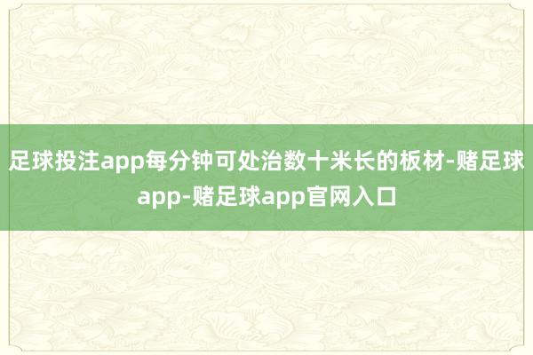 足球投注app每分钟可处治数十米长的板材-赌足球app-赌足球app官网入口