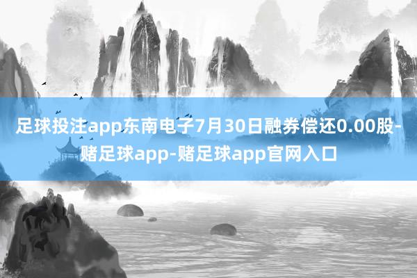 足球投注app东南电子7月30日融券偿还0.00股-赌足球app-赌足球app官网入口