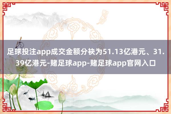 足球投注app成交金额分袂为51.13亿港元、31.39亿港元-赌足球app-赌足球app官网入口