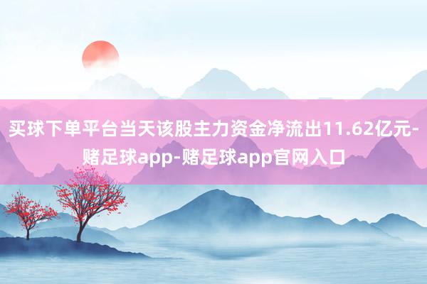 买球下单平台当天该股主力资金净流出11.62亿元-赌足球app-赌足球app官网入口