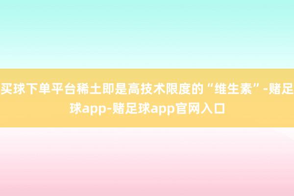 买球下单平台稀土即是高技术限度的“维生素”-赌足球app-赌足球app官网入口