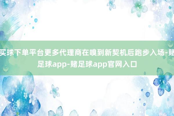 买球下单平台更多代理商在嗅到新契机后跑步入场-赌足球app-赌足球app官网入口