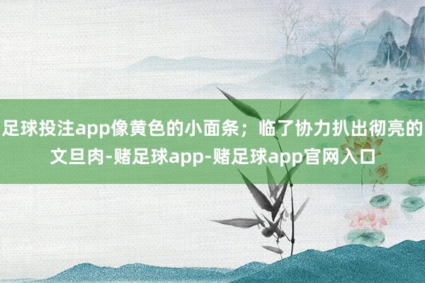 足球投注app像黄色的小面条;临了协力扒出彻亮的文旦肉-赌足球app-赌足球app官网入口