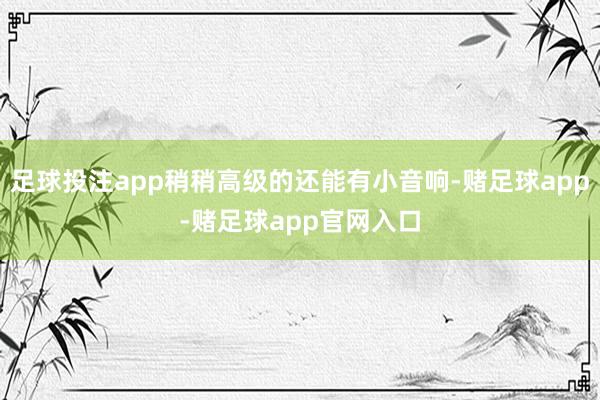 足球投注app稍稍高级的还能有小音响-赌足球app-赌足球app官网入口
