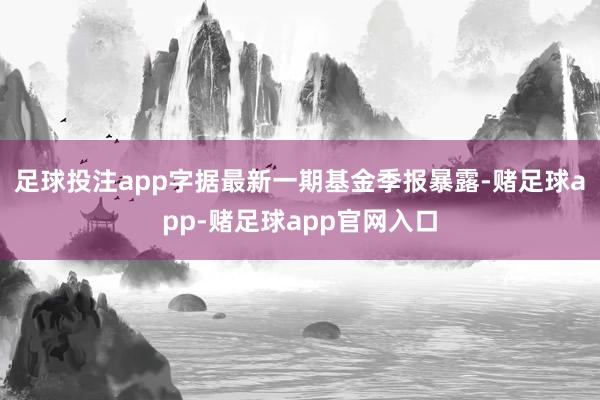 足球投注app字据最新一期基金季报暴露-赌足球app-赌足球app官网入口