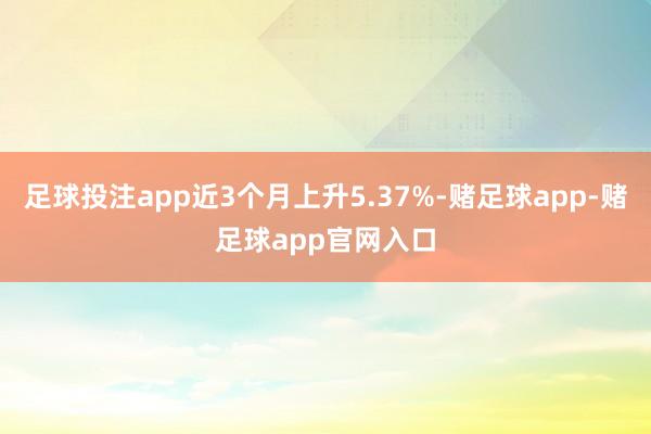 足球投注app近3个月上升5.37%-赌足球app-赌足球app官网入口