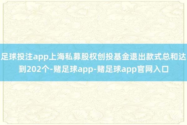 足球投注app上海私募股权创投基金退出款式总和达到202个-赌足球app-赌足球app官网入口