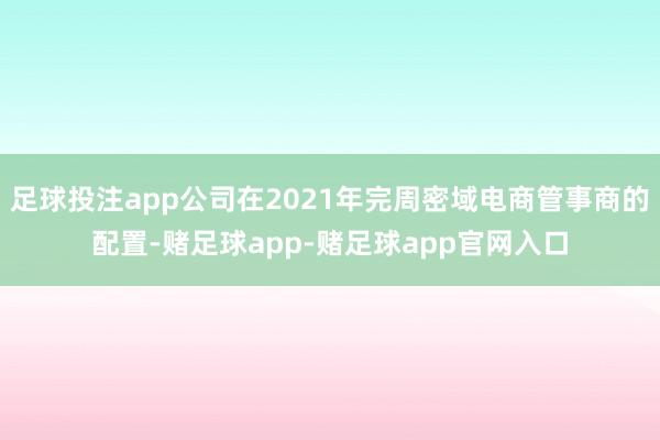 足球投注app公司在2021年完周密域电商管事商的配置-赌足球app-赌足球app官网入口