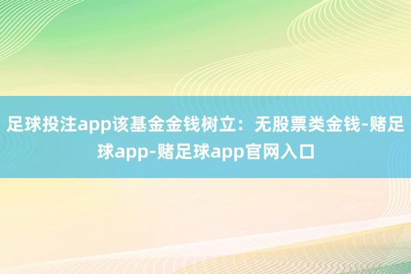 足球投注app该基金金钱树立:无股票类金钱-赌足球app-赌足球app官网入口